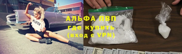 a pvp Белокуриха