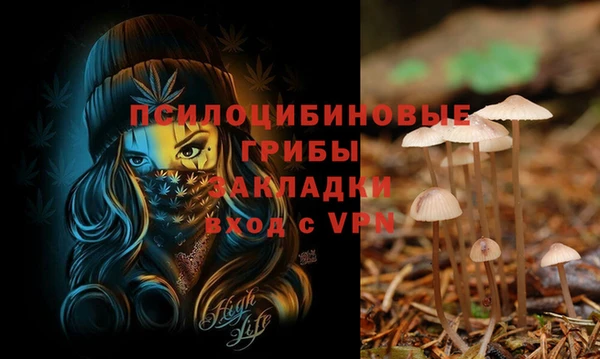 соль курить ск Беломорск