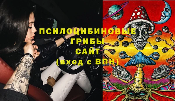 a pvp Белокуриха