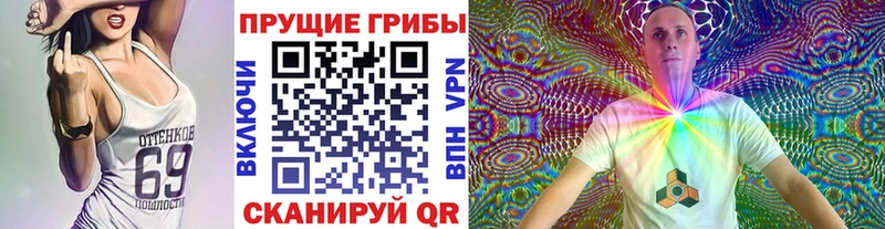 мориарти какой сайт Шумиха Галлюциногенные грибы Psilocybine cubensis