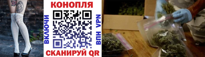 Шишки марихуана план  ссылка на мегу tor  Шумиха 